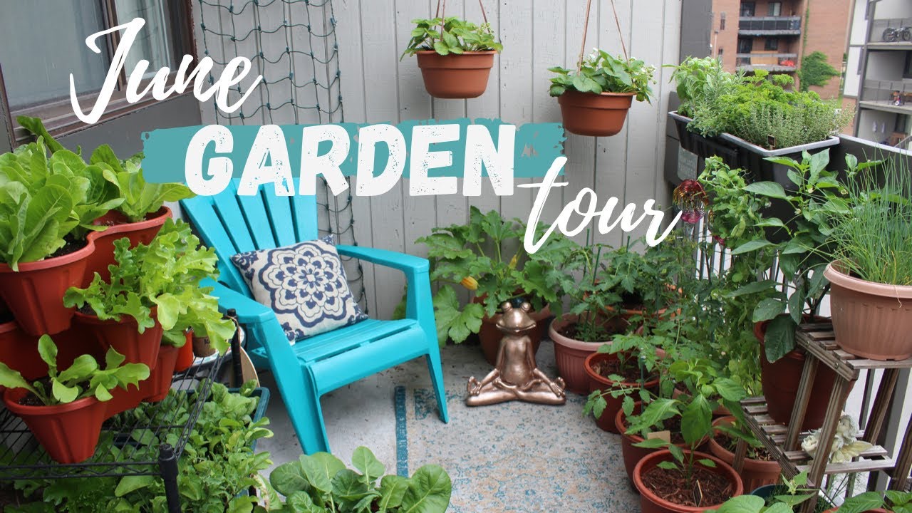 Balcony Gardening Tips for Small Apartments in June - изображение 3