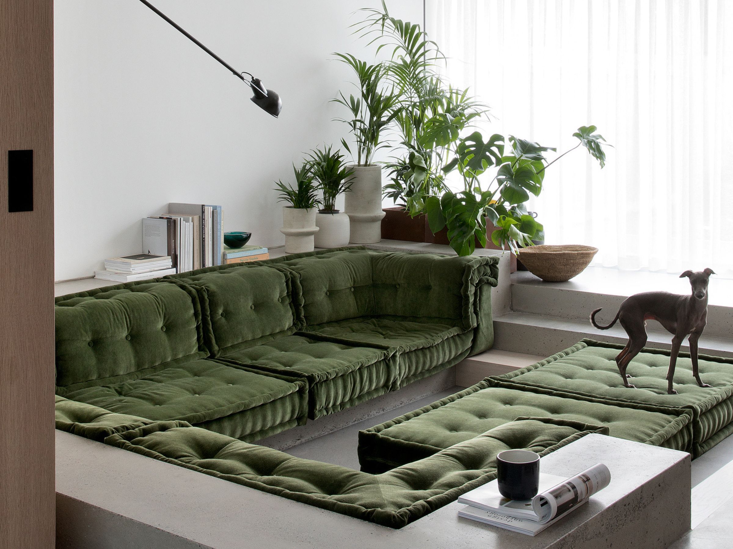 Biophilic Living in Late Winter: Light, Plants & Small Rituals That Bring Nature Indoors - изображение 2