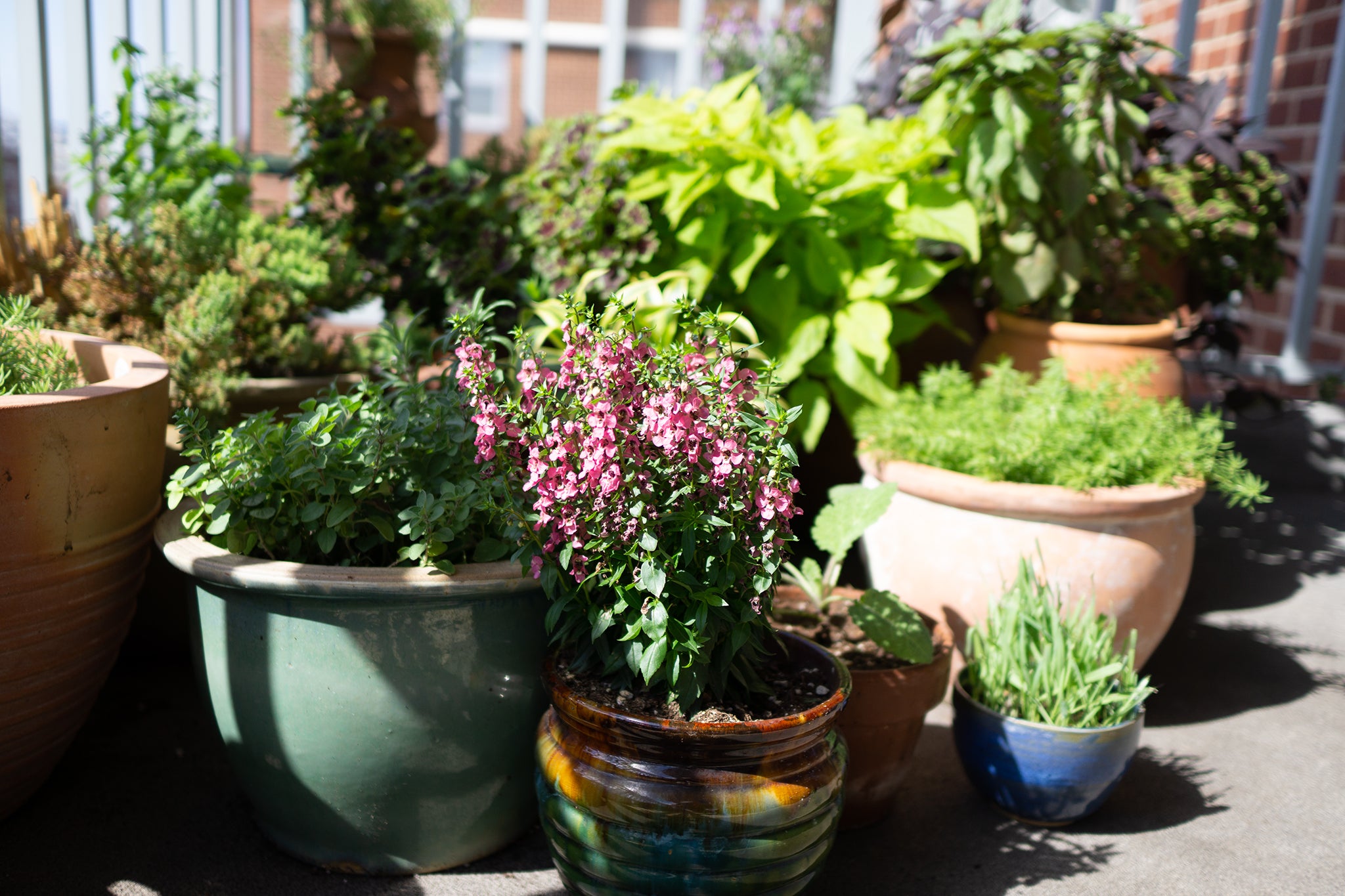 Your Balcony Is Ready for Life: How to Turn It Into a Mini Garden - изображение 3