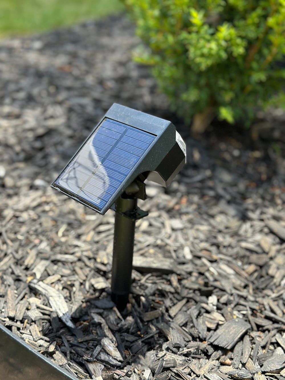 Installing Solar Lights in the Garden Without Calling an Electrician - изображение 4