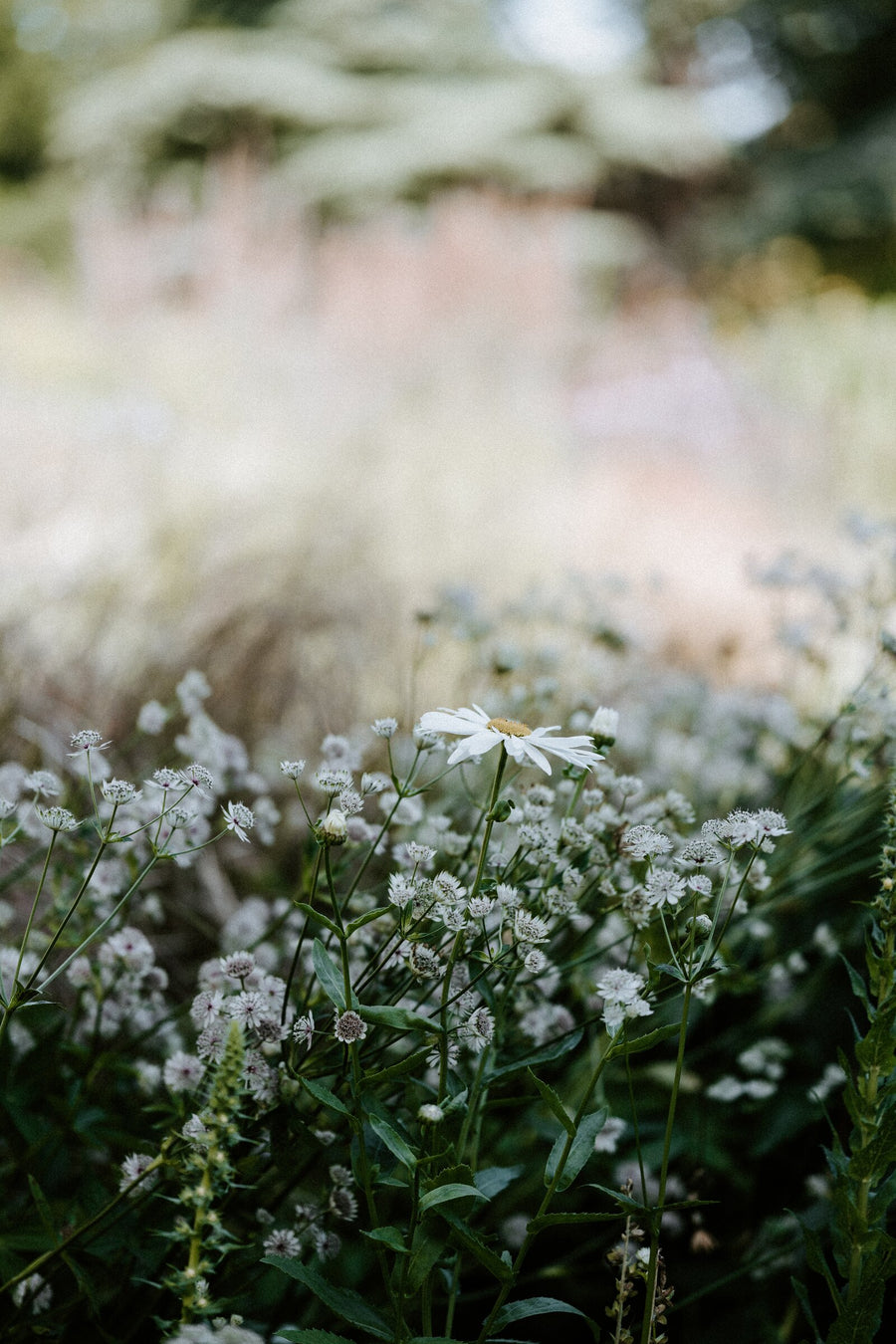 Spring Awakening: 7 Small Changes That Instantly Refresh Your Space - изображение 4